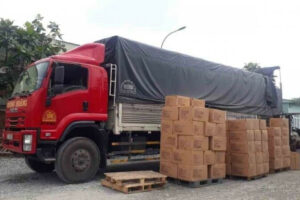 Cách chọn chành xe Sài Gòn đi Đồng Nai giá rẻ và uy tín