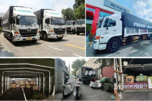 Chành xe Sài Gòn đi Đà Lạt: Nên chọn đơn vị nào?