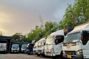 Chành xe đi Đồng Tháp Quỳnh Nhi vì sao ngày càng nhiều khách lựa chọn?